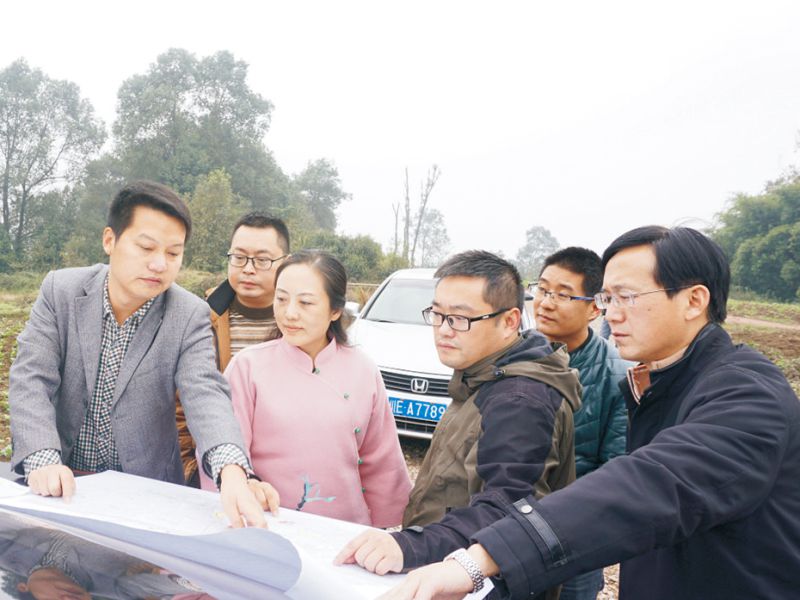 BB贝博艾弗森园林绿化维护